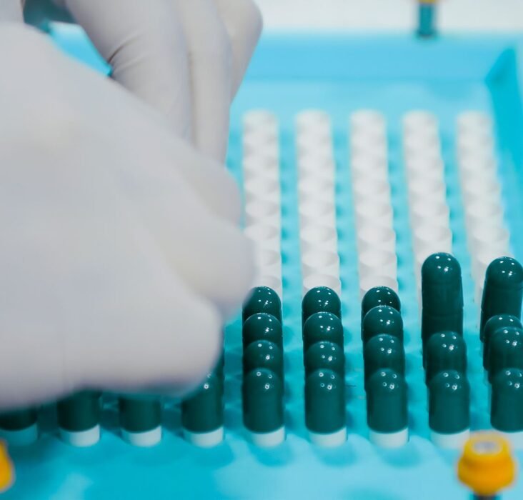 Gloved hands arranging capsules on a pharmaceutical production tray, representing Indian generic drug manufacturing