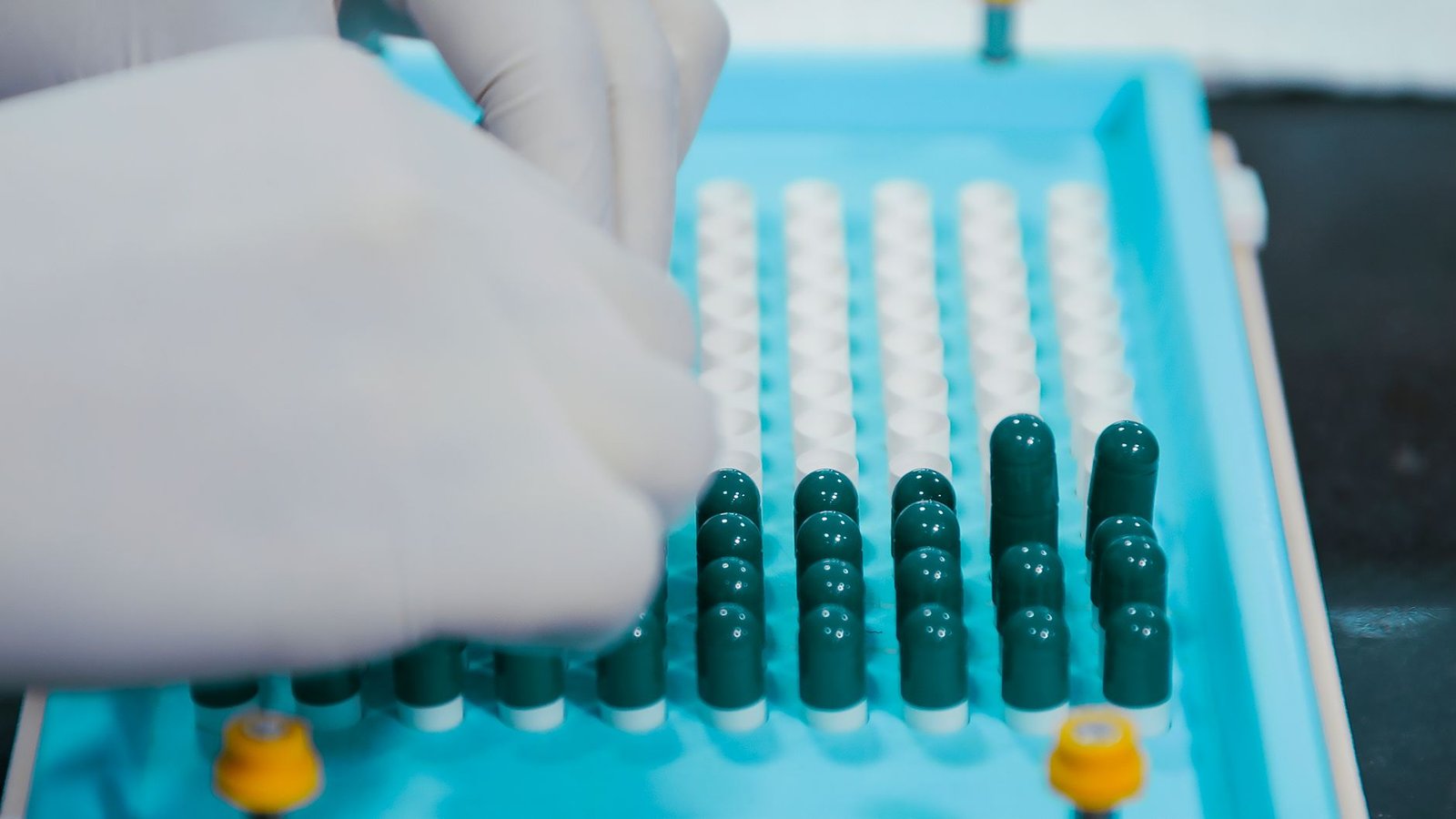 Gloved hands arranging capsules on a pharmaceutical production tray, representing Indian generic drug manufacturing